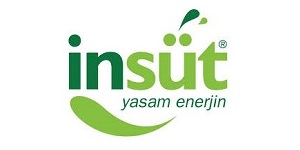 İnsüt